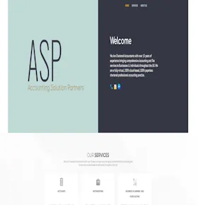 ASP Services - Chartered accountants professional services website